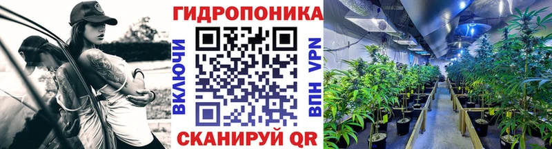 Конопля план Мытищи
